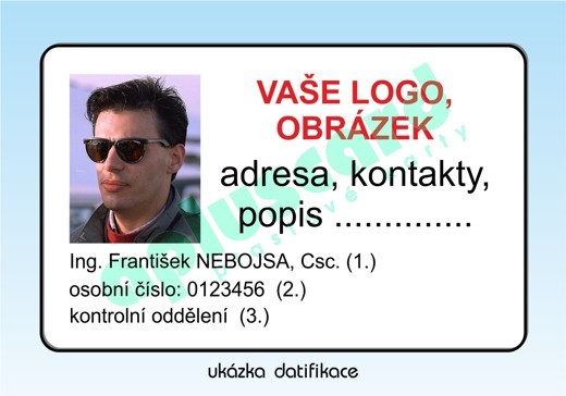 datifikace.jpg